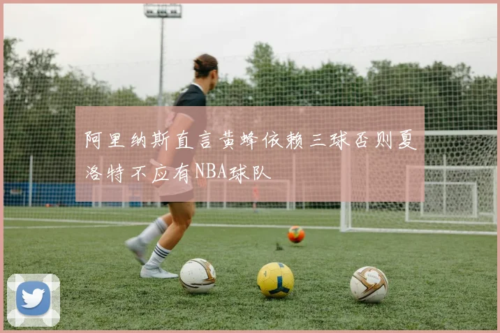 阿里纳斯直言黄蜂依赖三球否则夏洛特不应有NBA球队